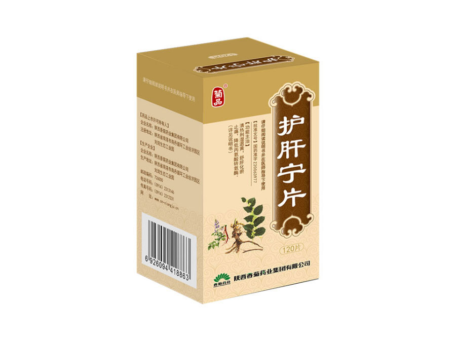 护肝宁片