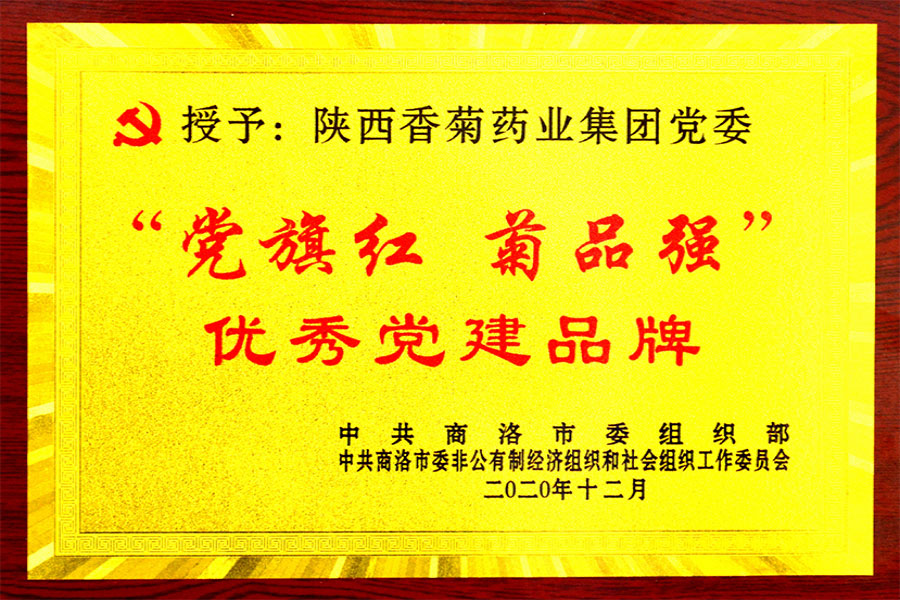 优秀党建品牌