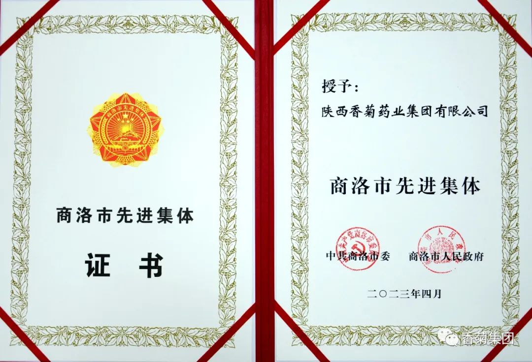 商洛市先进集体——金年会金字招牌至上网站