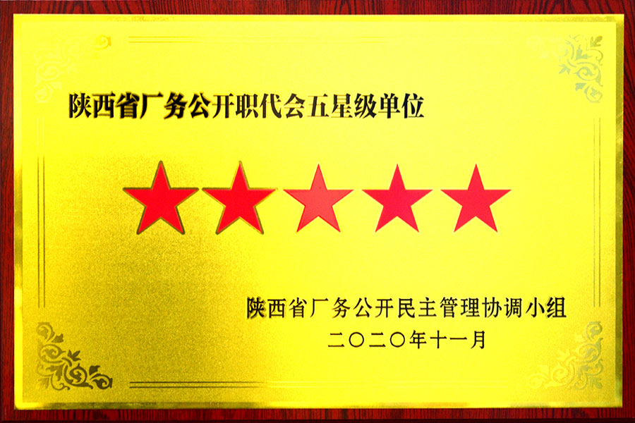 五星级单位