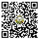这是描述信息 这是描述信息